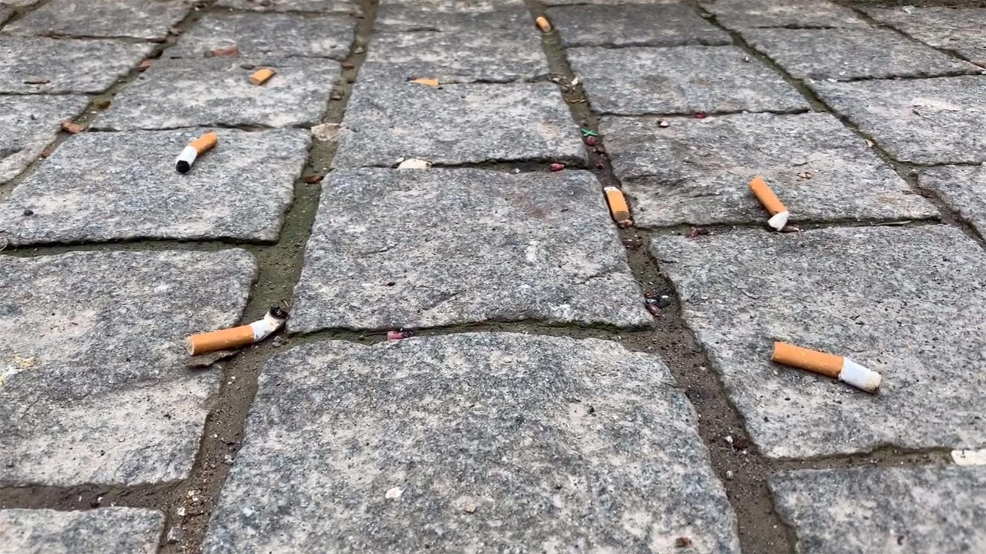 Zigarettenkippen_Boden Zigarettenkippen_Boden